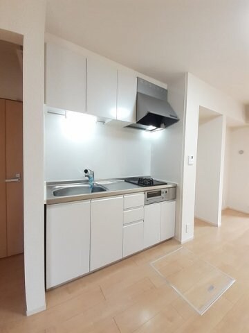  コットン　フィールド