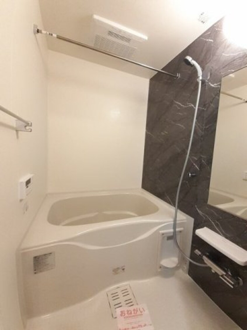  コットン　フィールド