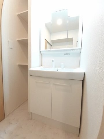  コットン　フィールド