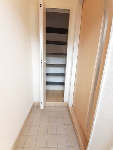  コットン　フィールド