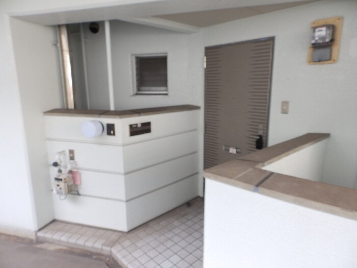  ベルティカル曙