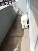  ベルティカル曙