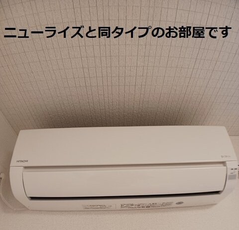  ロイセレストＢ