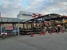 ユーホー高木店まで1300m ネスル
