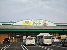 なかやま牧場ハート 新市店(スーパー)まで2231m ネスル