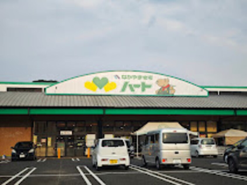なかやま牧場ハート 新市店(スーパー)まで2231m ネスル