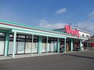 ウォンツ 府中店(ドラッグストア)まで1430m ネスル