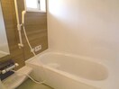  D-roomビオラ