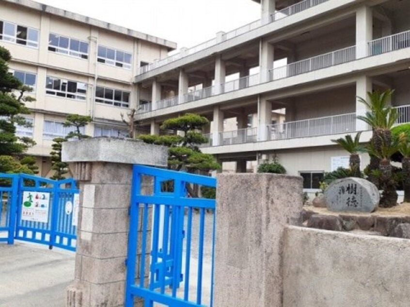 福山市立樹徳小学校(小学校)まで1962m Ｄ-Ｒｅｓｉｄｅｎｃｅ御船町