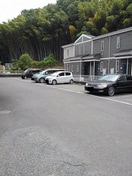  シャングリラＭ