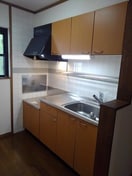  シャングリラＭ