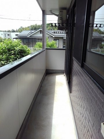  シャングリラＭ