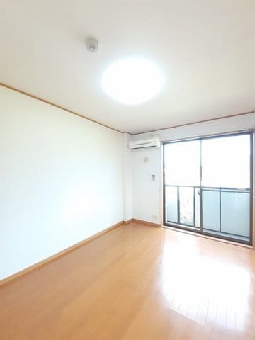  サニー　ヴィオラ