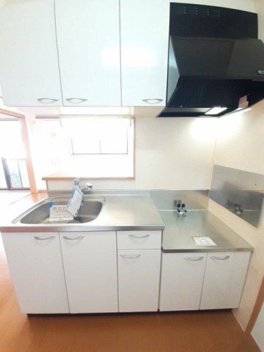  サニー　ヴィオラ