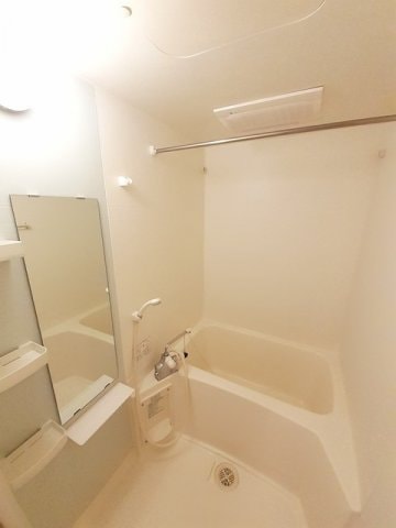  サニー　ヴィオラ