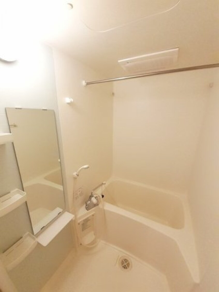  サニー　ヴィオラ