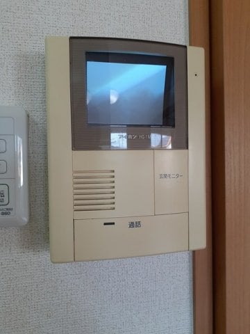  サニー　ヴィオラ