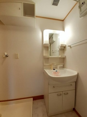  サニー　ヴィオラ