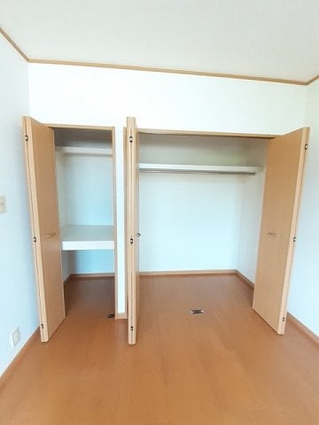  サニー　ヴィオラ