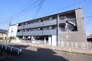  バンガーデン