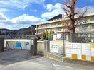 福山市立泉小学校(小学校)まで2286m バンガーデン