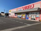 スーパードラッグひまわり 木之庄店(ドラッグストア)まで1609m バンガーデン