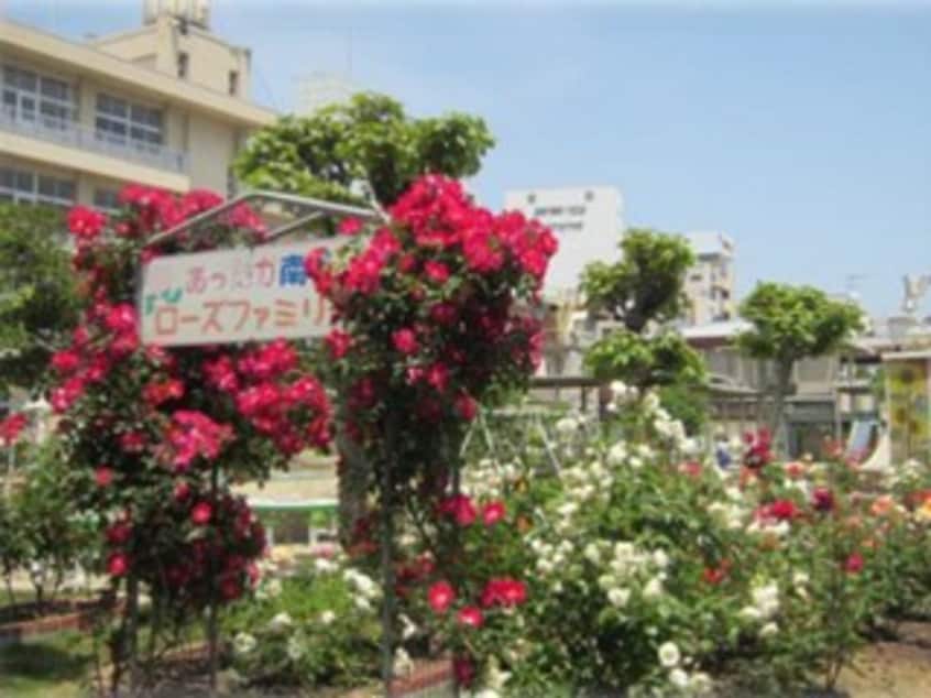 福山市立南小学校 725m ポルシェ松浜