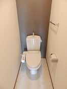  ウィルモア川口