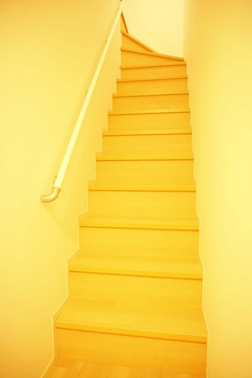  マルベリー草戸