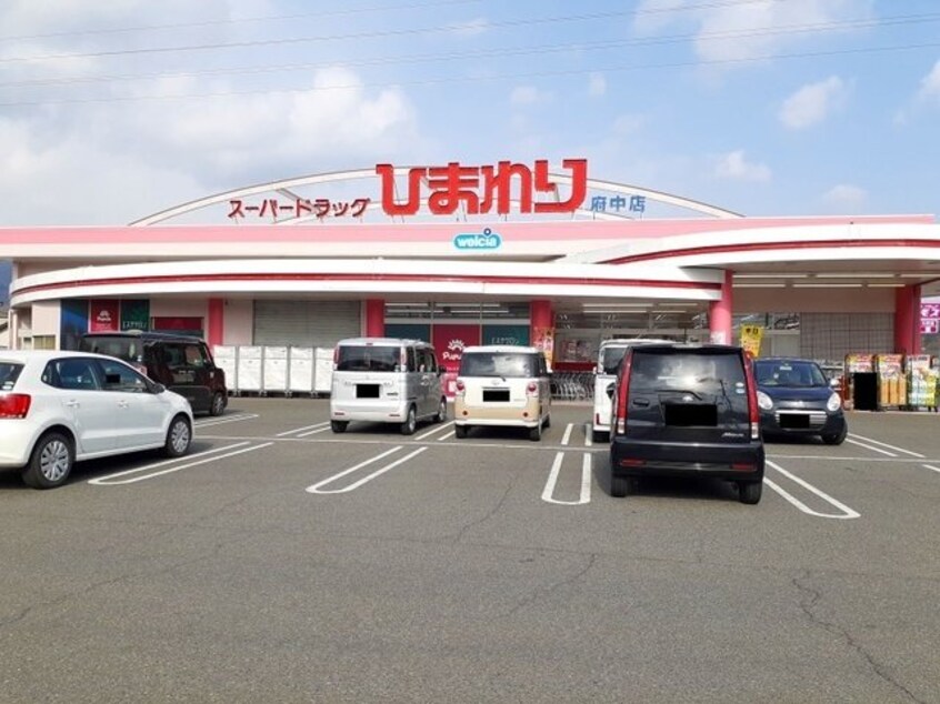 ひまわり府中店まで1200m リヴィエールＡ
