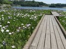 春日池公園 2365m パステル