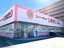 スーパードラッグひまわり グラン春日店(ドラッグストア)まで1164m パステル