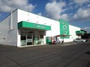 ザグザグ南蔵王店まで600m サニーベル