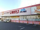 ひまわりグラン春日店まで450m ロイヤルコート春日　Ｂ棟