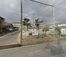 福山市立培遠中学校 1239m ロイヤルコート春日　Ｂ棟