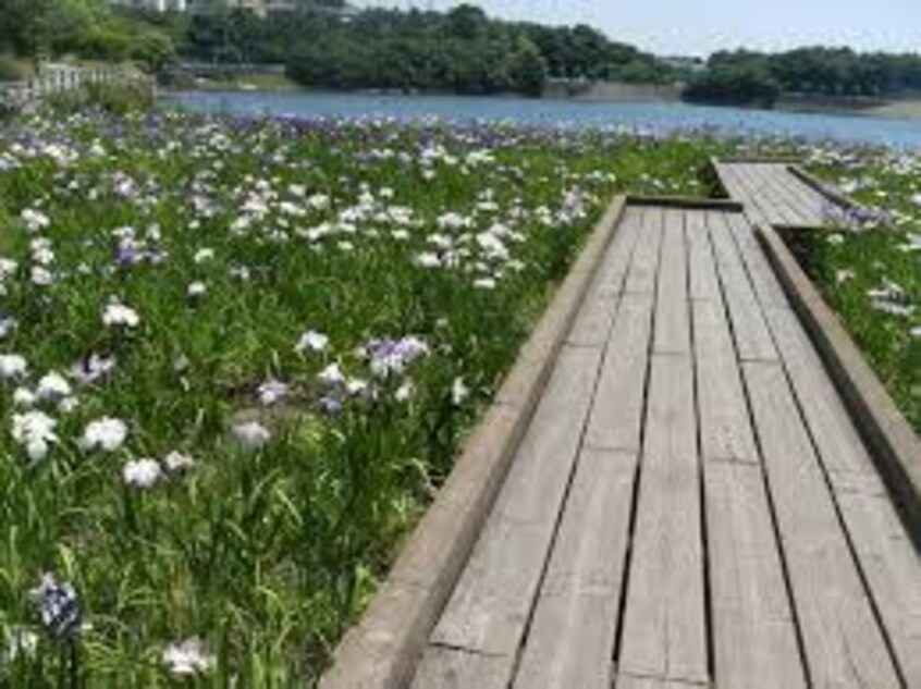 春日池公園 2559m ロイヤルコート春日　Ｂ棟