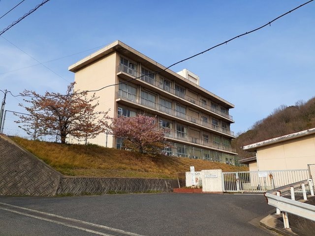 福山市立野々浜小学校まで1300m ジェルメⅡＡ