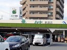 なかやま牧場ハート 新涯店(スーパー)まで1786m サンフォレスト曙