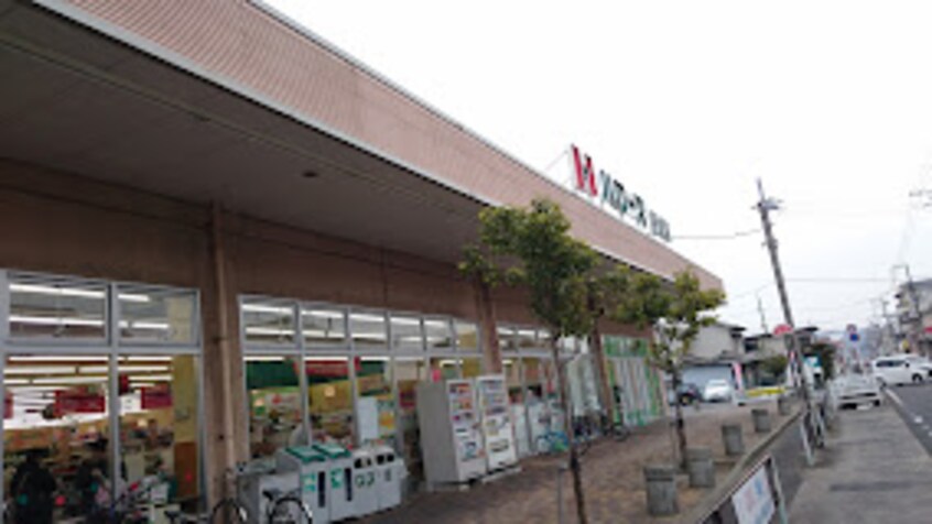 ハローズ 手城店(スーパー)まで437m ベルグランデ２１