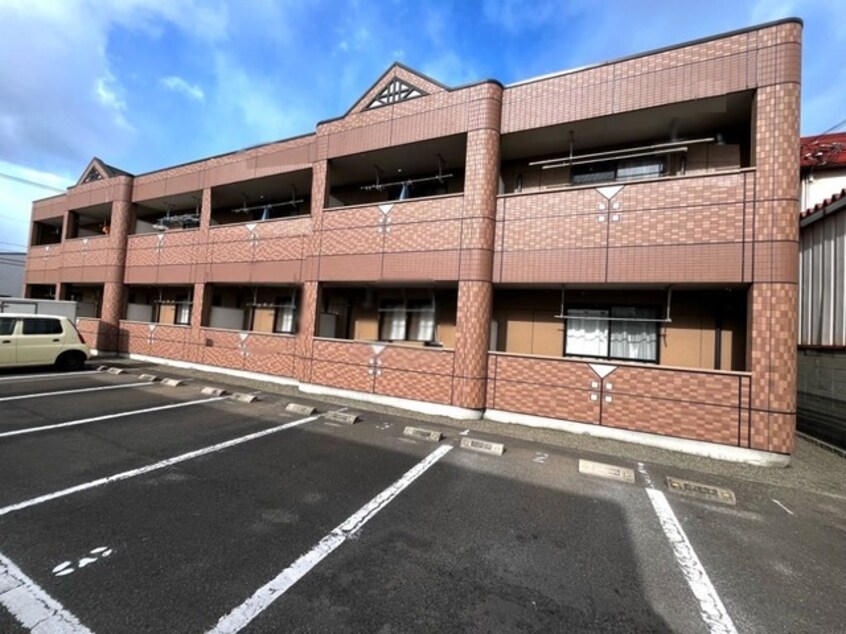  フィグトゥリーＫ