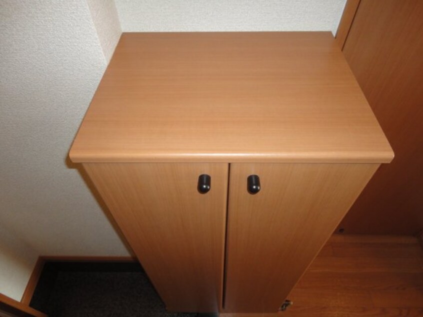 下足箱 フィグトゥリーＫ