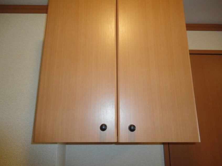 下足箱 フィグトゥリーＫ