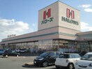 ハローズ新涯店まで763ｍ ティエード