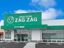 ザグザグ新涯店(ドラッグストア)まで824m ティエード
