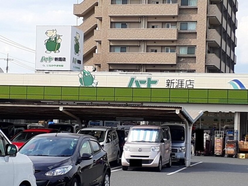 ハート新涯店まで500m ベルフロンテ