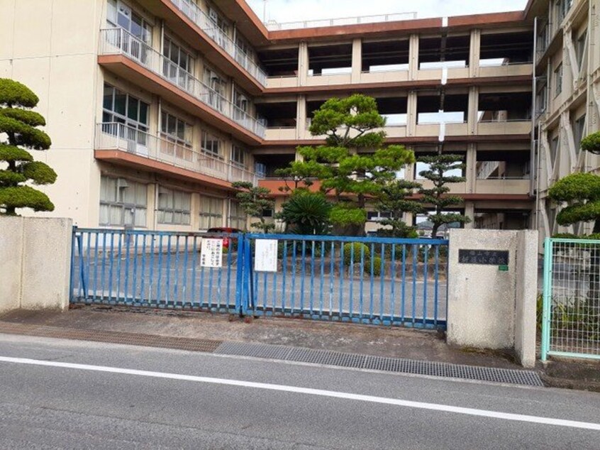 新涯小学校まで500m ベルフロンテ