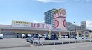 ププレひまわり薬局春日東店(ドラッグストア)まで1114m レジデンスアイビー