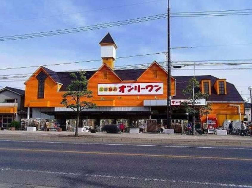 生鮮食品オンリーワン 沖野上店(スーパー)まで1572m マイ　ディアⅡ