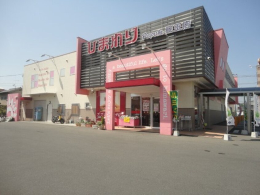 スーパードラッグひまわり ププレ蔵王店(ドラッグストア)まで329m ファウスト