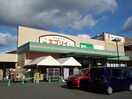エブリイ尾道新浜店まで2700m アルモニー福地
